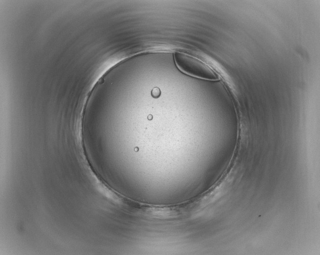 X0000115381194200911171429