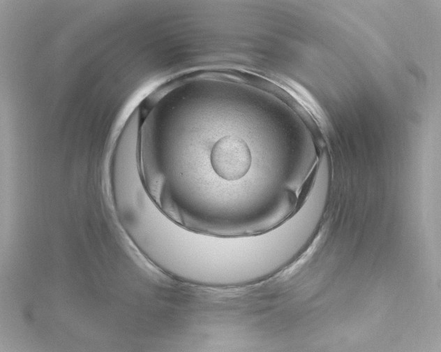 X0000115381196200911171429