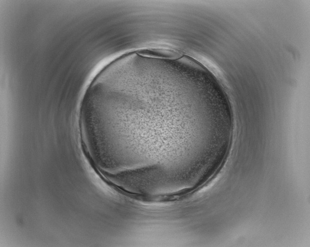 X0000115381200200911171429