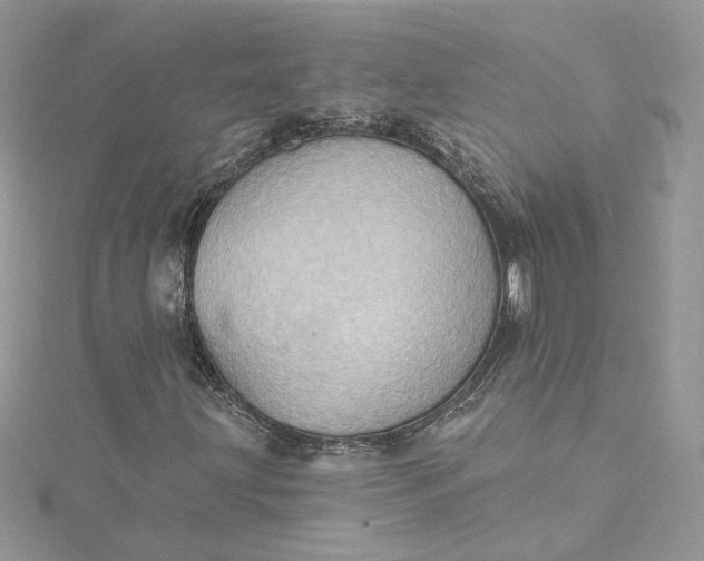 X0000115381203200911171428