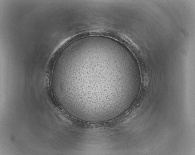 X0000115381208200911171428