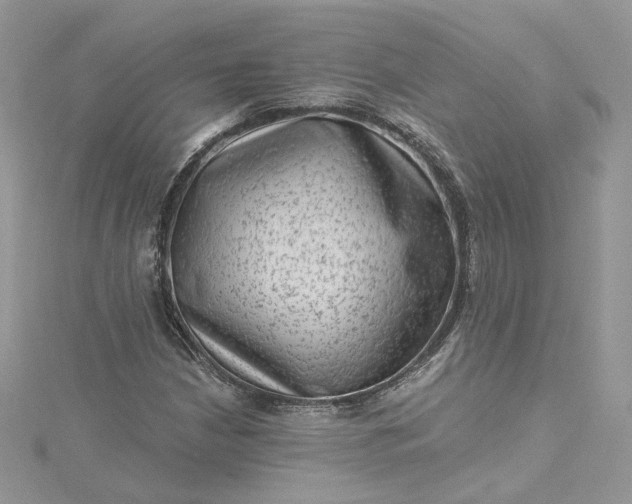 X0000115381210200911171428