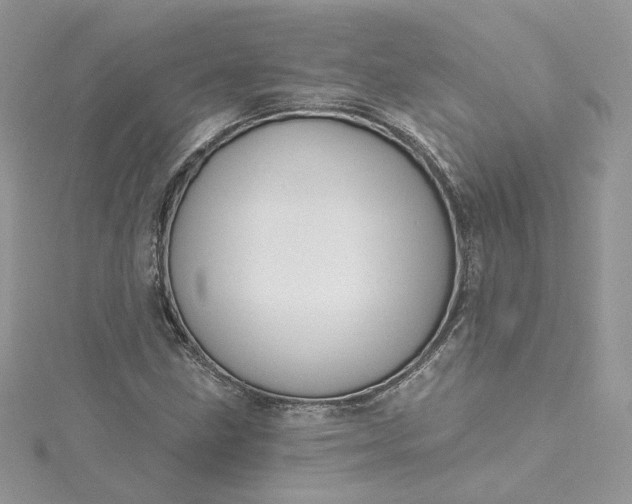 X0000115381211200911171428