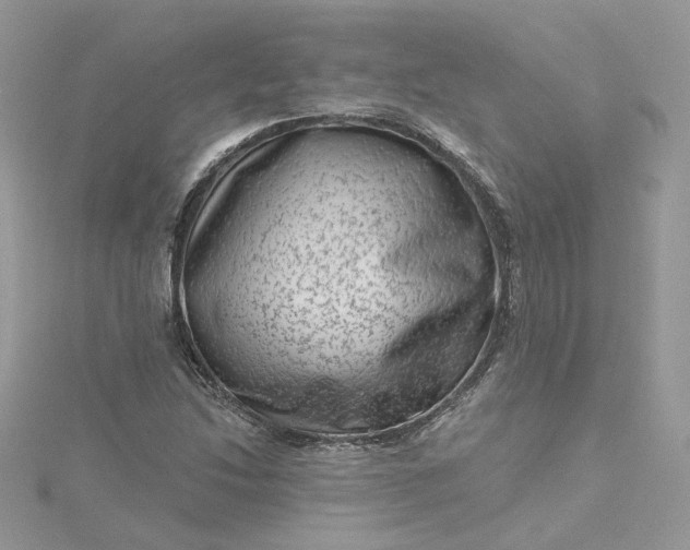 X0000115381214200911171428