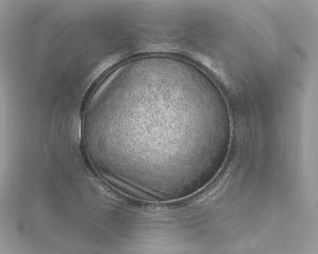X0000115381221200911171428