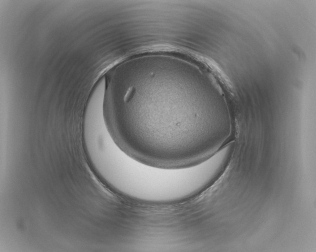 X0000115381225200911171428