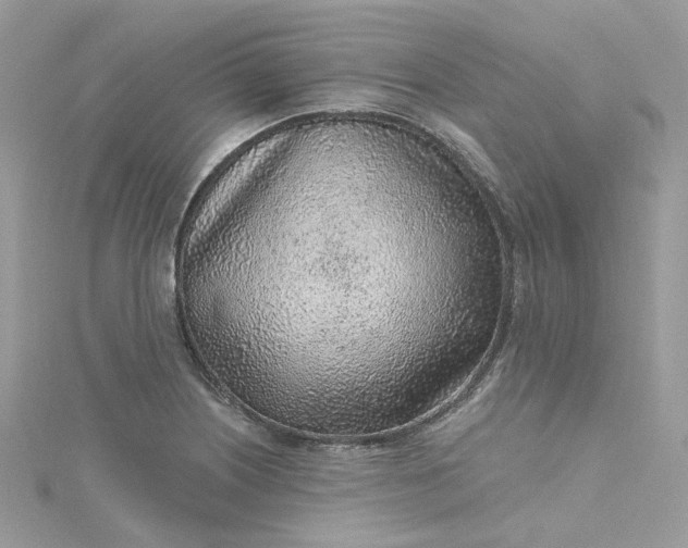 X0000115381226200911171428