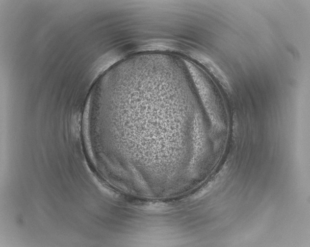 X0000115381233200911171428