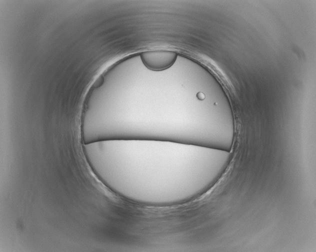 X0000115381236200911171429