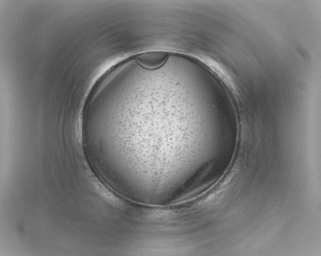 X0000115381238200911171429
