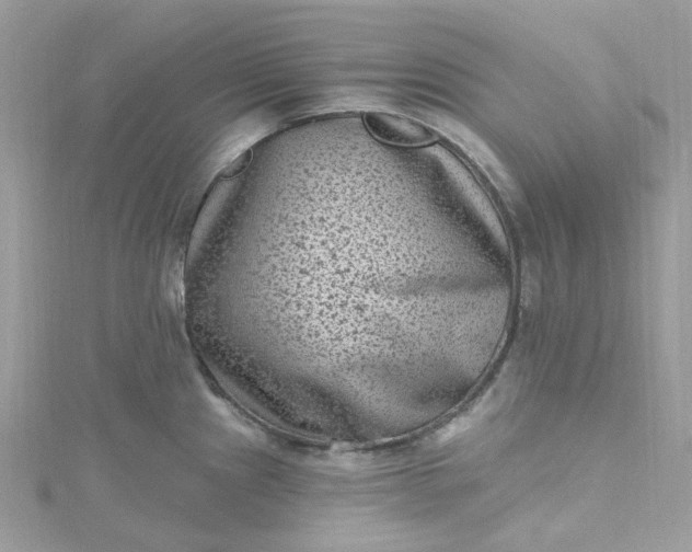 X0000115381241200911171429