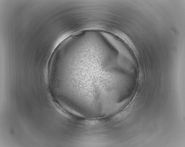 X0000115381242200911171429