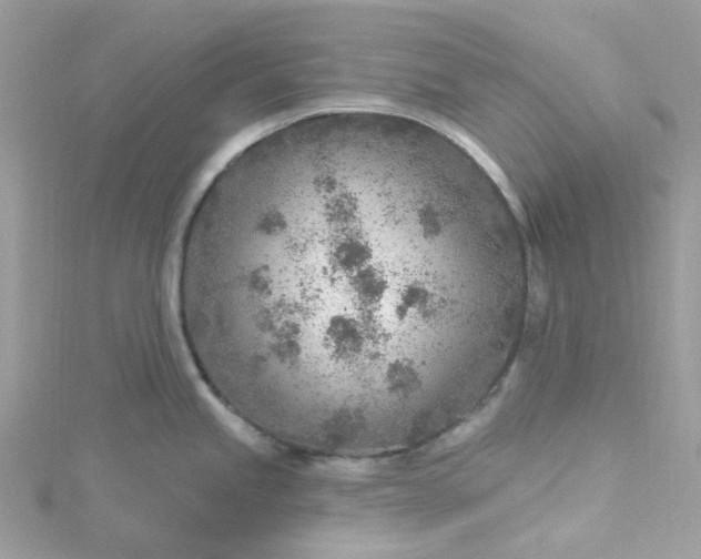 X0000115381245200911171429