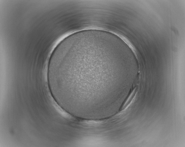 X0000115381246200911171429