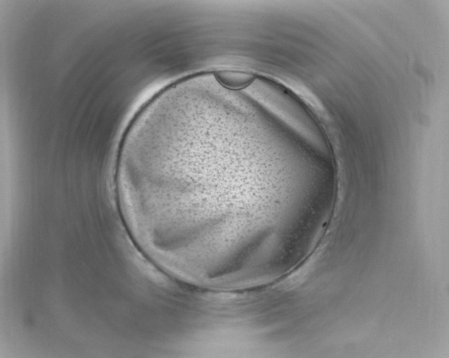 X0000115381248200911171429