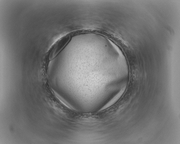 X0000115381256200911171428