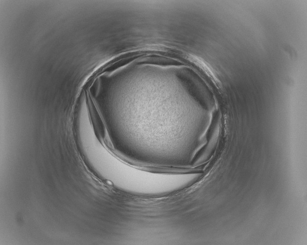 X0000115381260200911171428