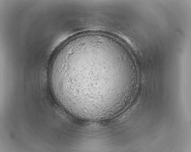 X0000115381263200911171428