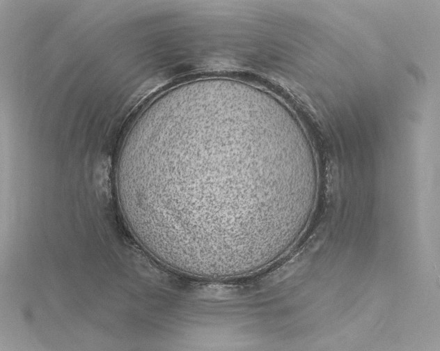 X0000115381265200911171428