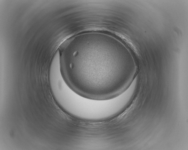 X0000115381273200911171428