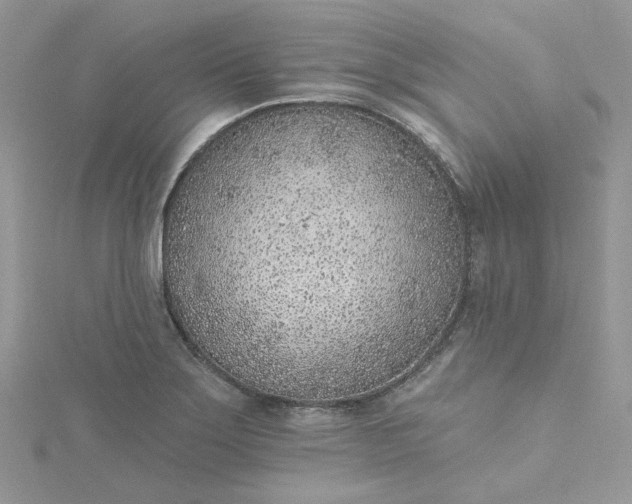 X0000115381275200911171428