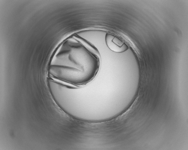 X0000115381284200911171427