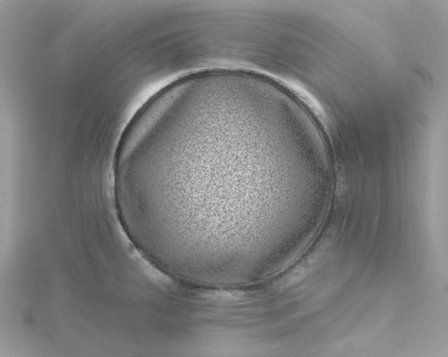 X0000115381287200911171427