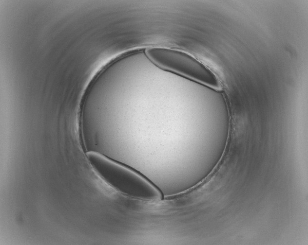 X0000115381288200911171427