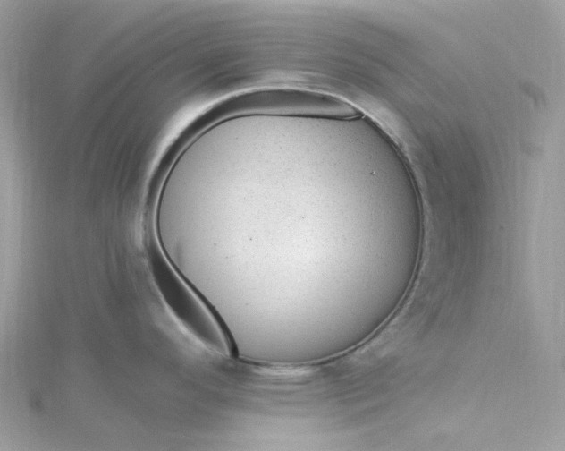 X0000115381296200911171427