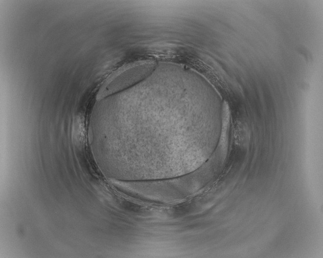 X0000115381298200911171427