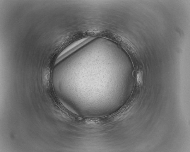 X0000115381299200911171427