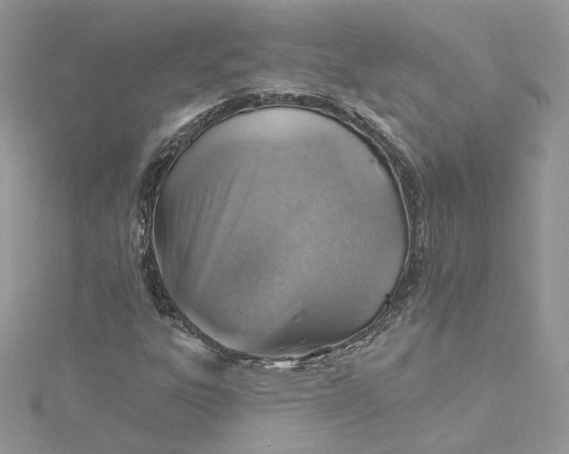 X0000115381303200911171427