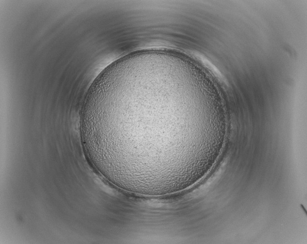 X0000115381329200911171427