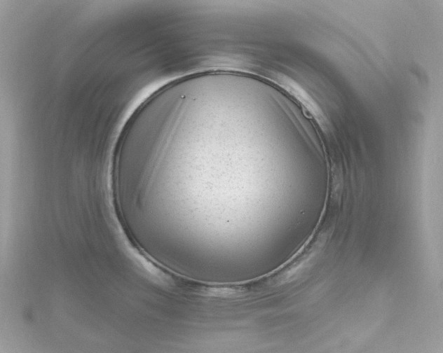 X0000115381339200911171427