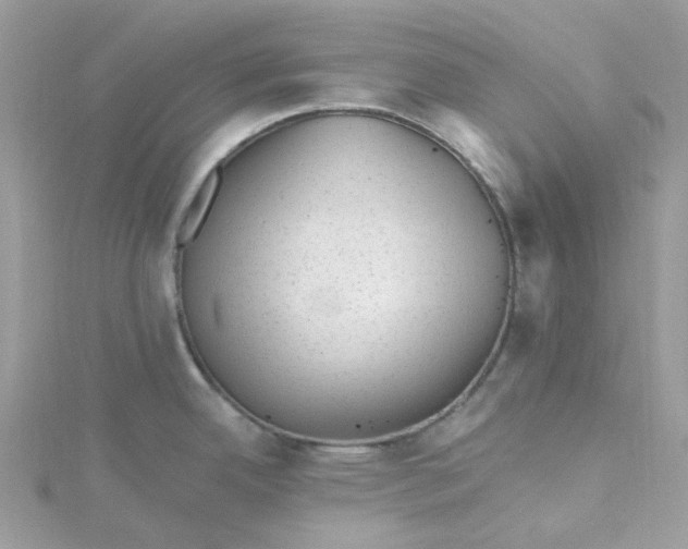 X0000115381342200911171427