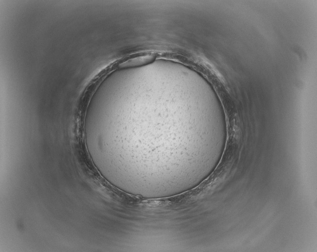 X0000115381352200911171427