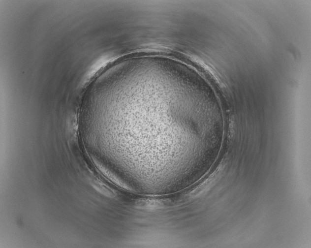 X0000115381355200911171427