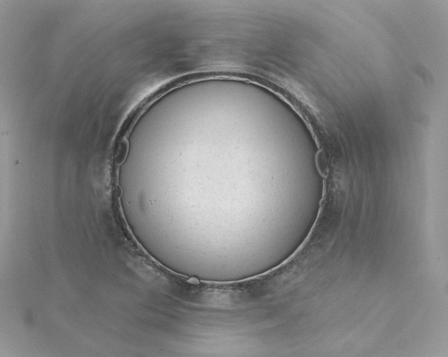 X0000115381364200911171426