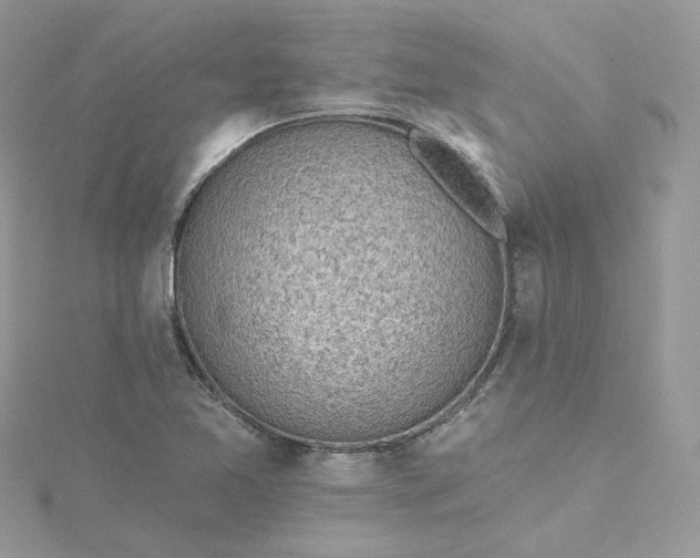 X0000115381365200911171426