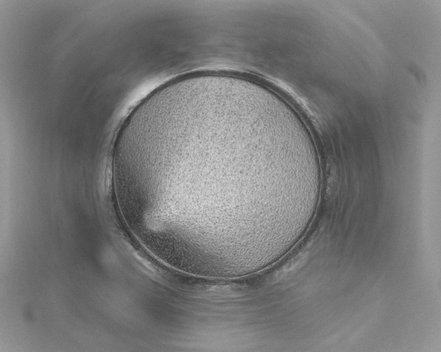 X0000115381367200911171426