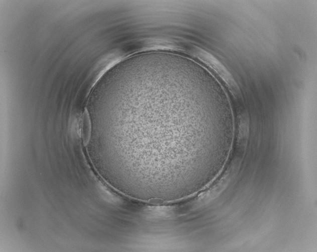 X0000115381377200911171426