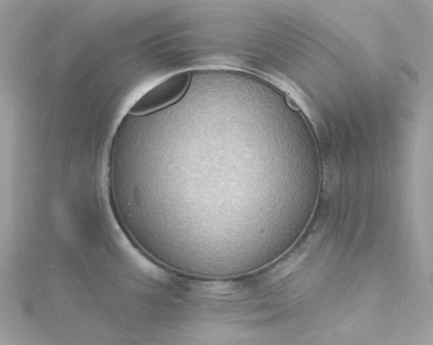 X0000115381387200911171426