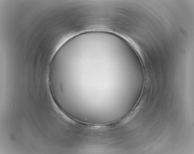 X0000115381390200911171426