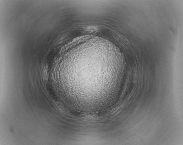 X0000115381394200911171425