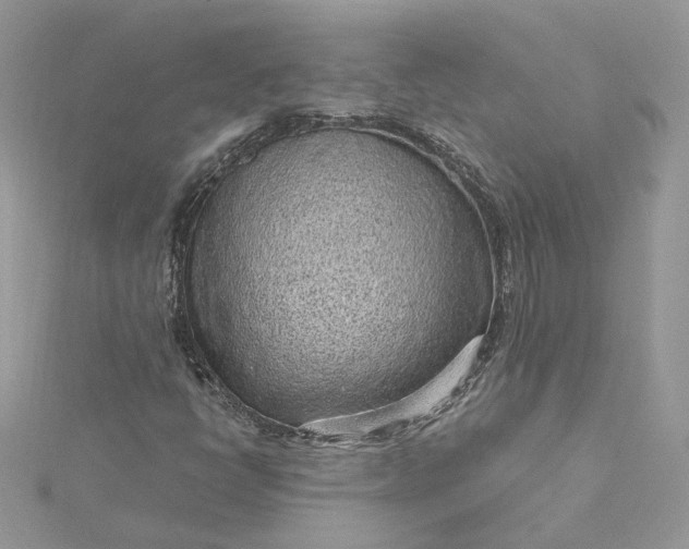 X0000115381398200911171425