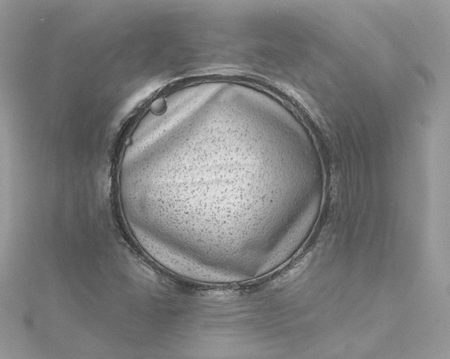 X0000115381406200911171425
