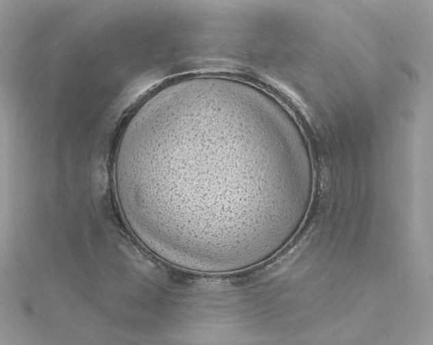 X0000115381407200911171425
