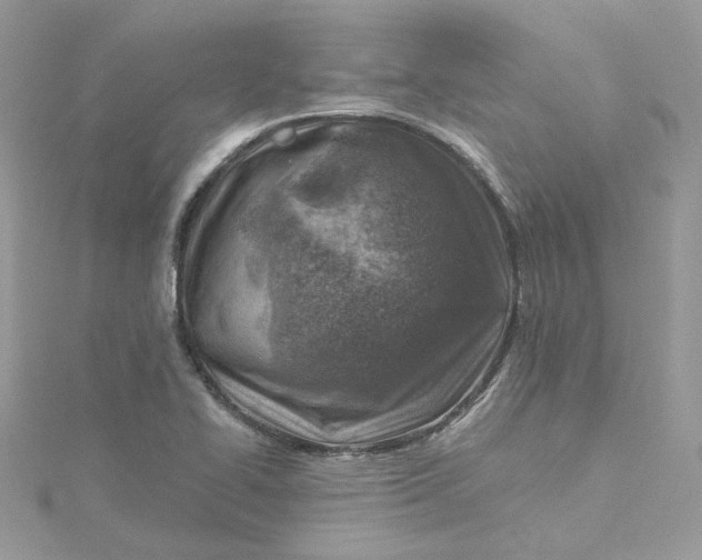 X0000115381414200911171426