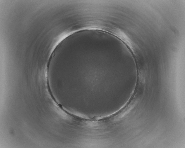 X0000115381428200911171426