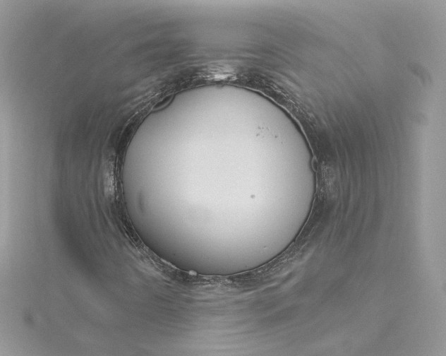 X0000115381442200911171425